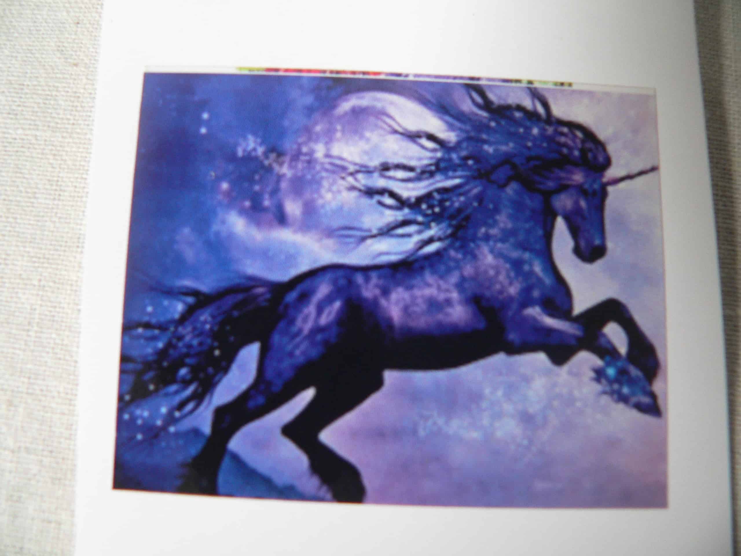 The Midnight Unicorn - diamond art
